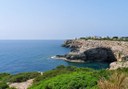 see Mallorca coast via buggy tour