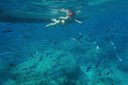Snorkelling.jpg