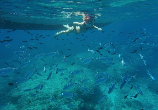 Snorkelling.jpg