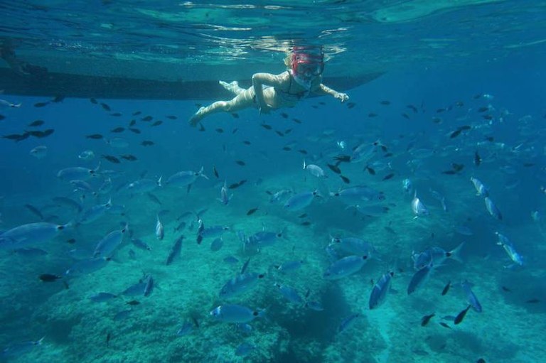Snorkelling.jpg