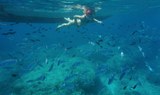 Snorkelling.jpg