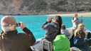 Visit secluded beach.jpg