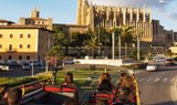 Hop-on and Hop-off city tour in Mallorca