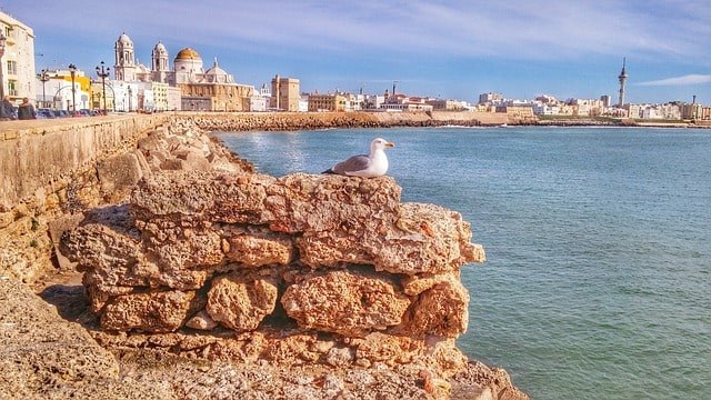 Cadiz waterfront.jpg