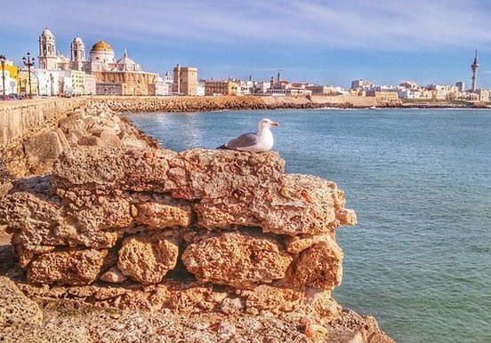 Cadiz waterfront.jpg