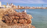 Cadiz waterfront.jpg