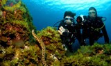 Diving in El Hierro Canary Islands