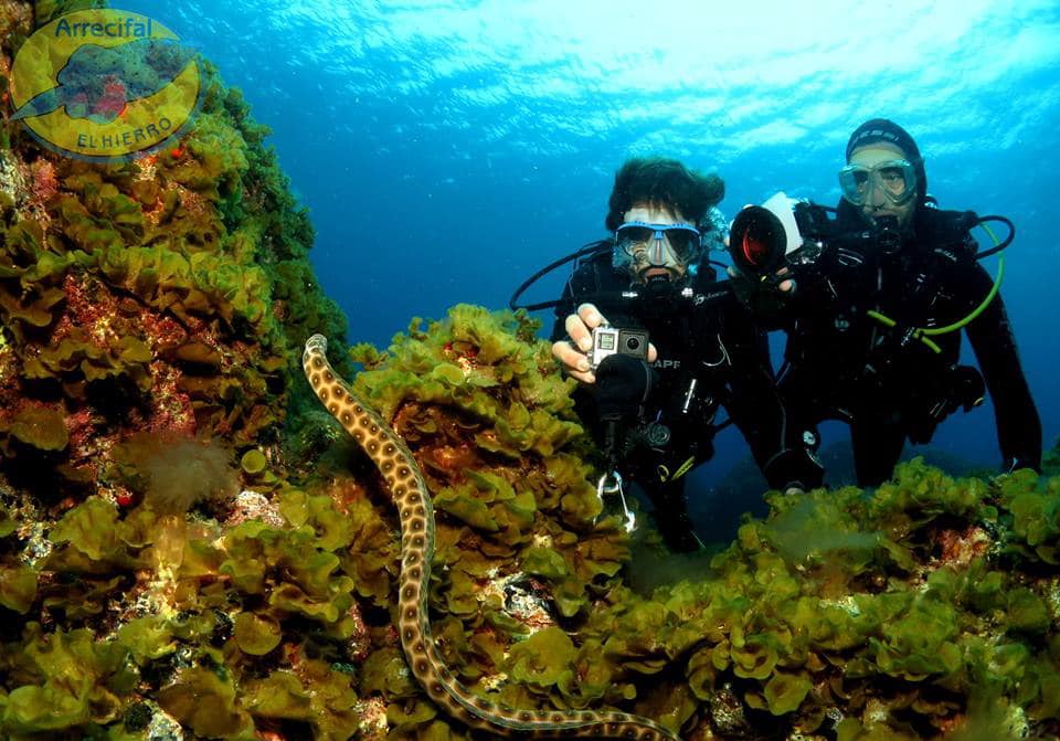 Diving in El Hierro Canary Islands