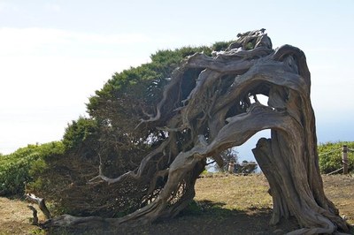 El Hierro, Kanarische Inseln.