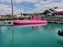 Fuerteventura glass bottom boat trip.jpg