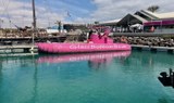 Fuerteventura glass bottom boat trip.jpg