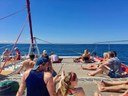Caleta Fuste catamaran sailing.jpg