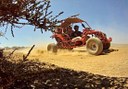 Quad and buggy tour in Corralejo
