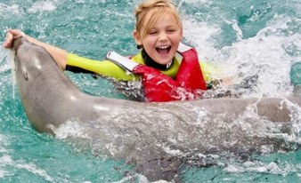 Sea Lion Experience in Caleta de Fuste