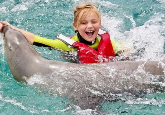 have fun with sea lions Fuerteventura.jpg