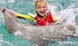 have fun with sea lions Fuerteventura.jpg