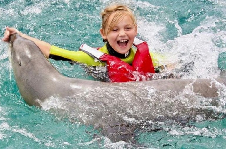 have fun with sea lions Fuerteventura.jpg