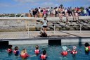 Sea lion experience Fuerteventura.jpg
