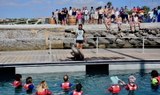 Sea lion experience Fuerteventura.jpg