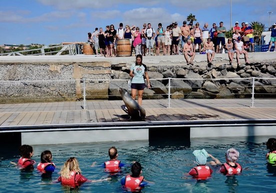 Sea lion experience Fuerteventura.jpg