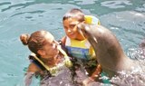 Sea lion kissing a child Fuerteventura.jpg