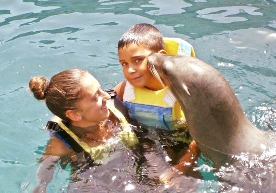 Sea lion kissing a child Fuerteventura.jpg