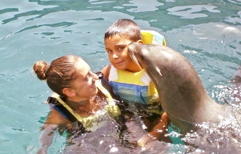 Sea lion kissing a child Fuerteventura.jpg