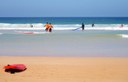 DSC_7319-min.JPG