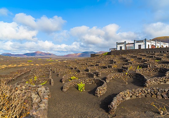 La Geria wine region in Lanzarote