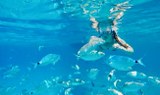 Enjoy sailing near playa concha in Lobos island.jpg