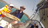 Delicious fresh fish lunch-min.jpg