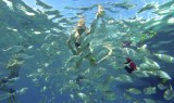 Fish feeding and snorkeling isla lobos-min.jpg