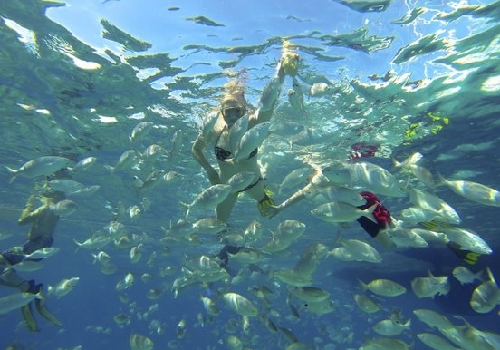 Fish feeding and snorkeling isla lobos-min.jpg