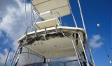 Fishing trip Fuerteventura island-min.jpg