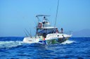 Sea fishing in Isla de los Lobos-min.jpg
