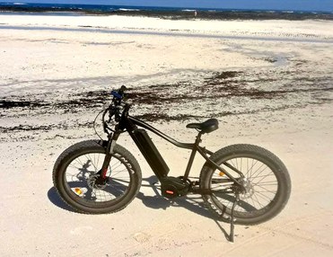 Bike Tours