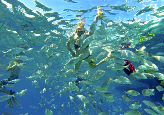 Catamaran sailing snorkeling