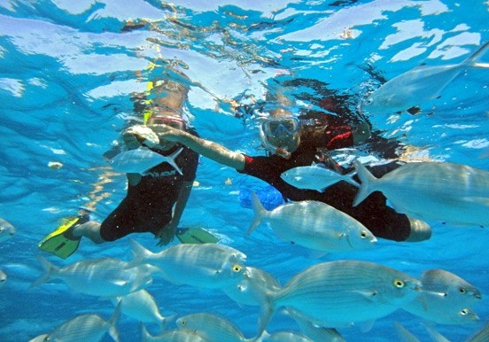 Catamaran private sailing snorkeling