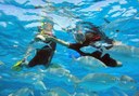 Catamaran private sailing snorkeling