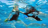 Catamaran private sailing snorkeling