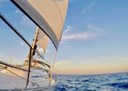 Sunset sailing trip with dinner in Fuerteventura.jpg