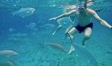 Catamaran with snorkelling-min.jpg