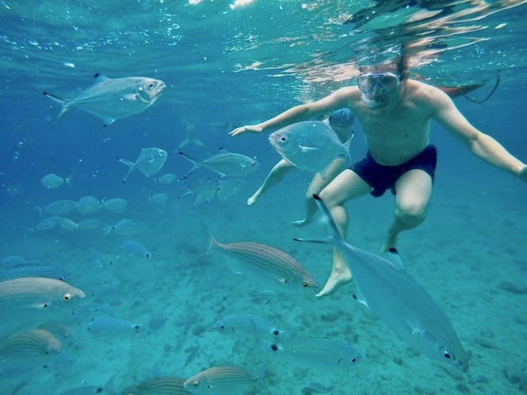 Catamaran with snorkelling-min.jpg