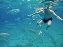 Catamaran with snorkelling-min.jpg