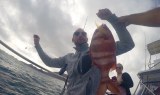 Fishing in Fuerteventura.jpg