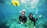 Couple enjoying underwater scuba snorkel in Lobos island.jpg