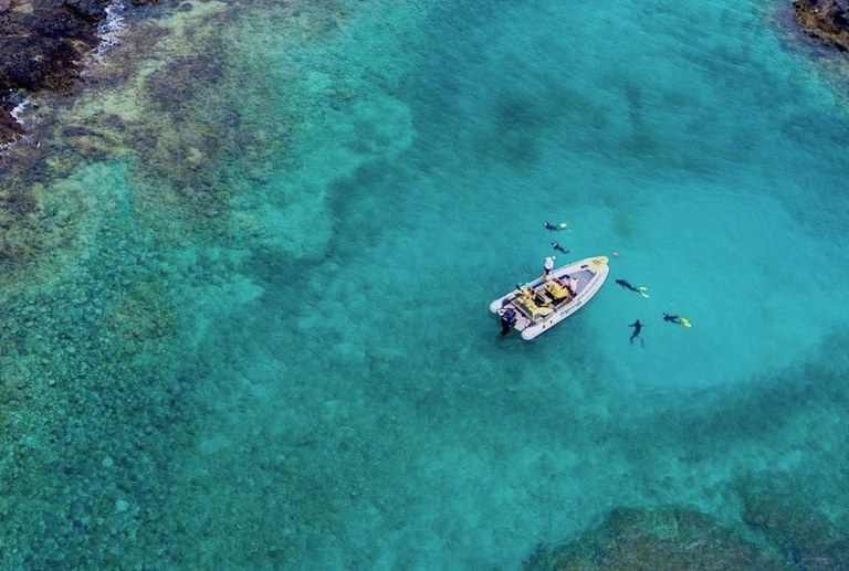 Scuba snorkeling lobos island.jpg