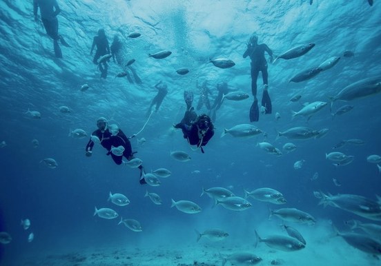 Scuba snorkelling underwater surrounded by fishes.jpg