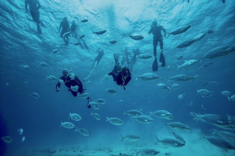 Scuba snorkelling underwater surrounded by fishes.jpg