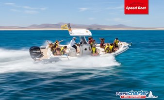Semi rigid boat - private charter 3h
